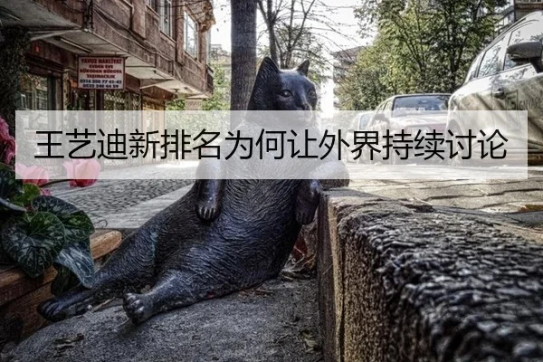 王艺迪新排名为何让外界持续讨论